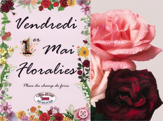 Les Floralies du 1er mai à Saint-André-de-Cubzac : fleurs, hamacs et détente au cœur du printemps